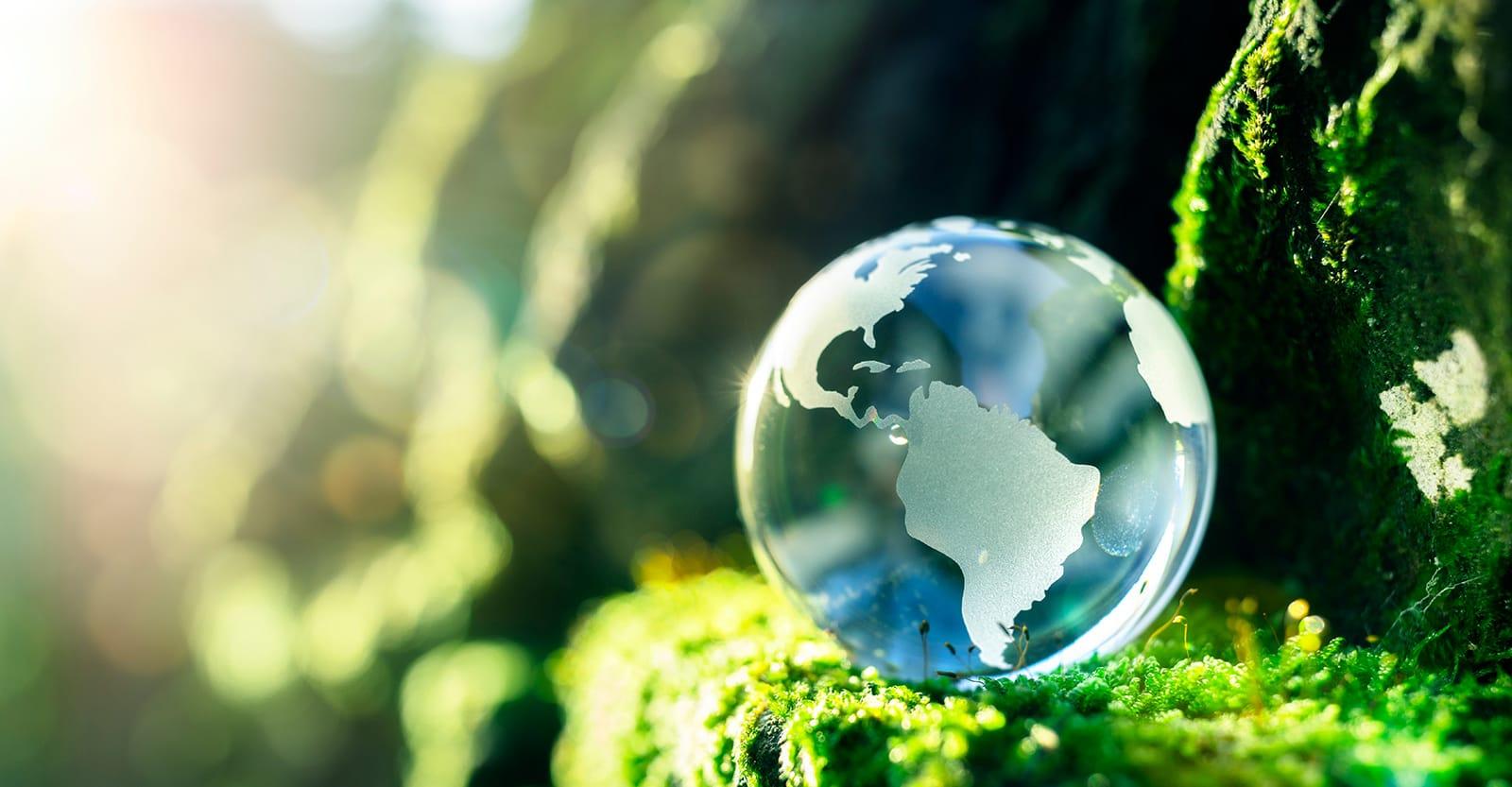 Top 5 benefits for businesses going zero waste