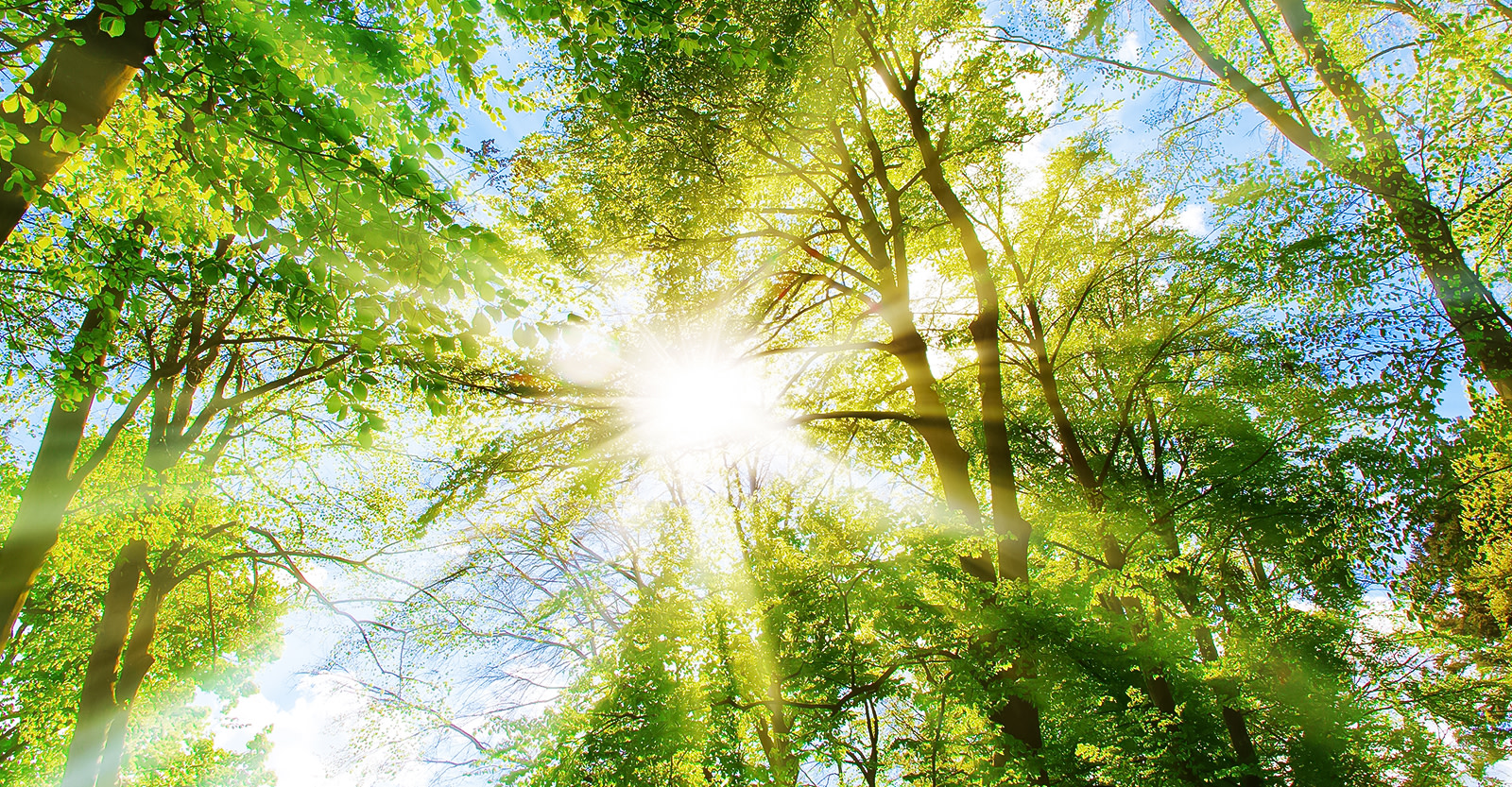 sustainability-hero-image