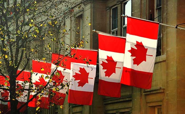 Cyndi McLeod appointed as CEO, Global University Systems Canada