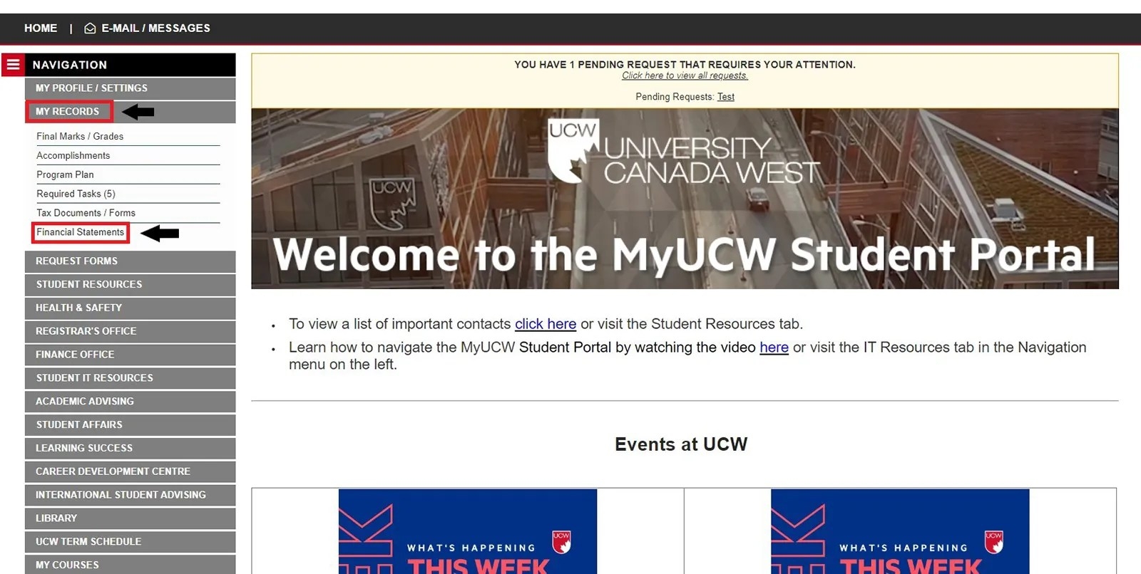 financial-statements-1