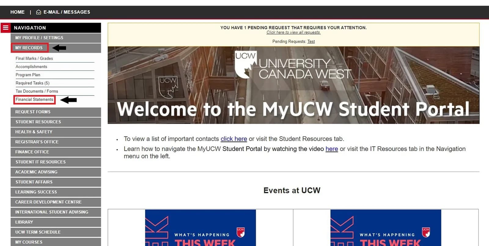 financial-statements-1