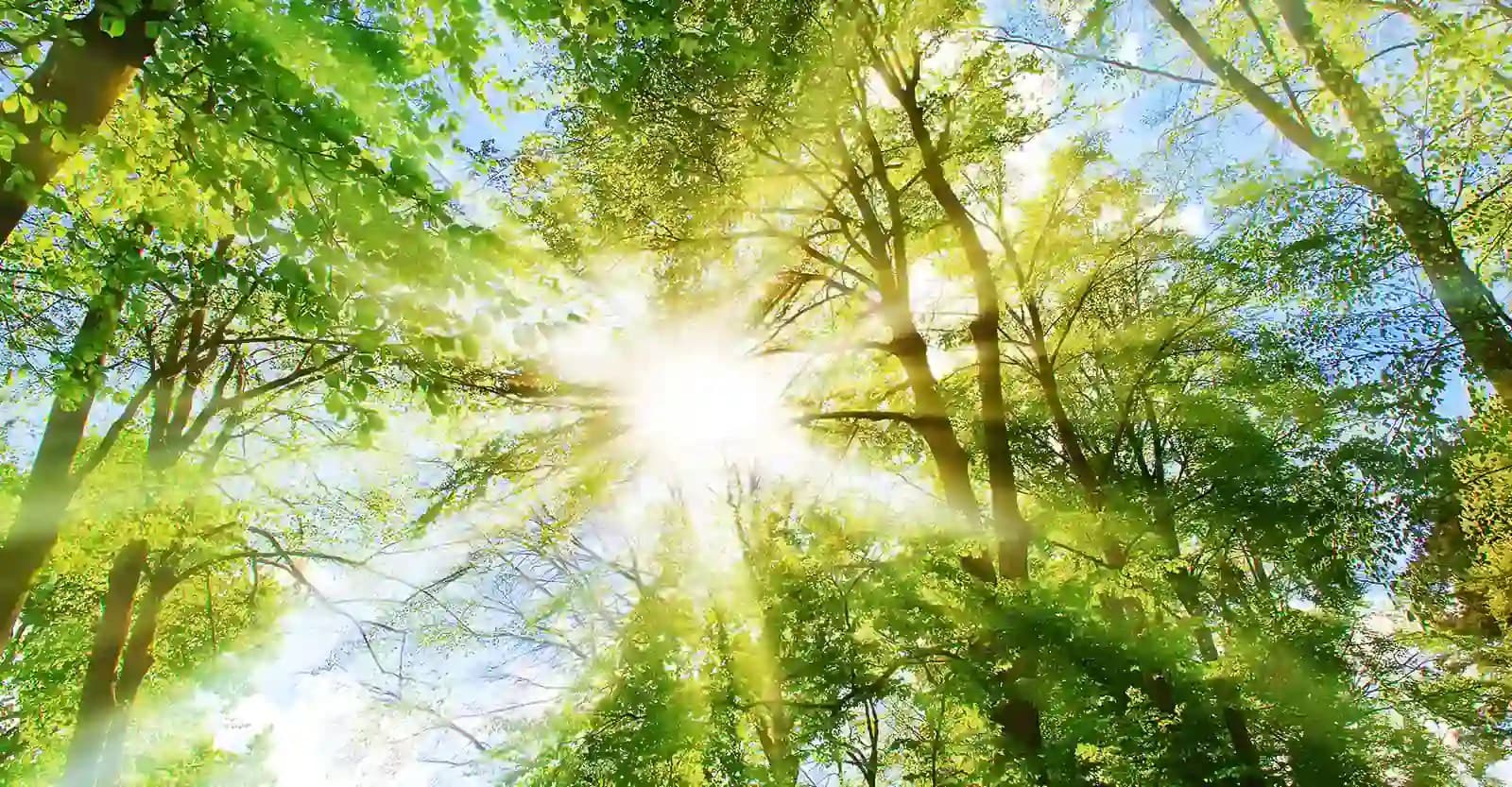 sustainability-hero-image