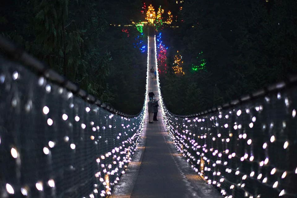 Capilano-Suspension-Bridge-Winter
