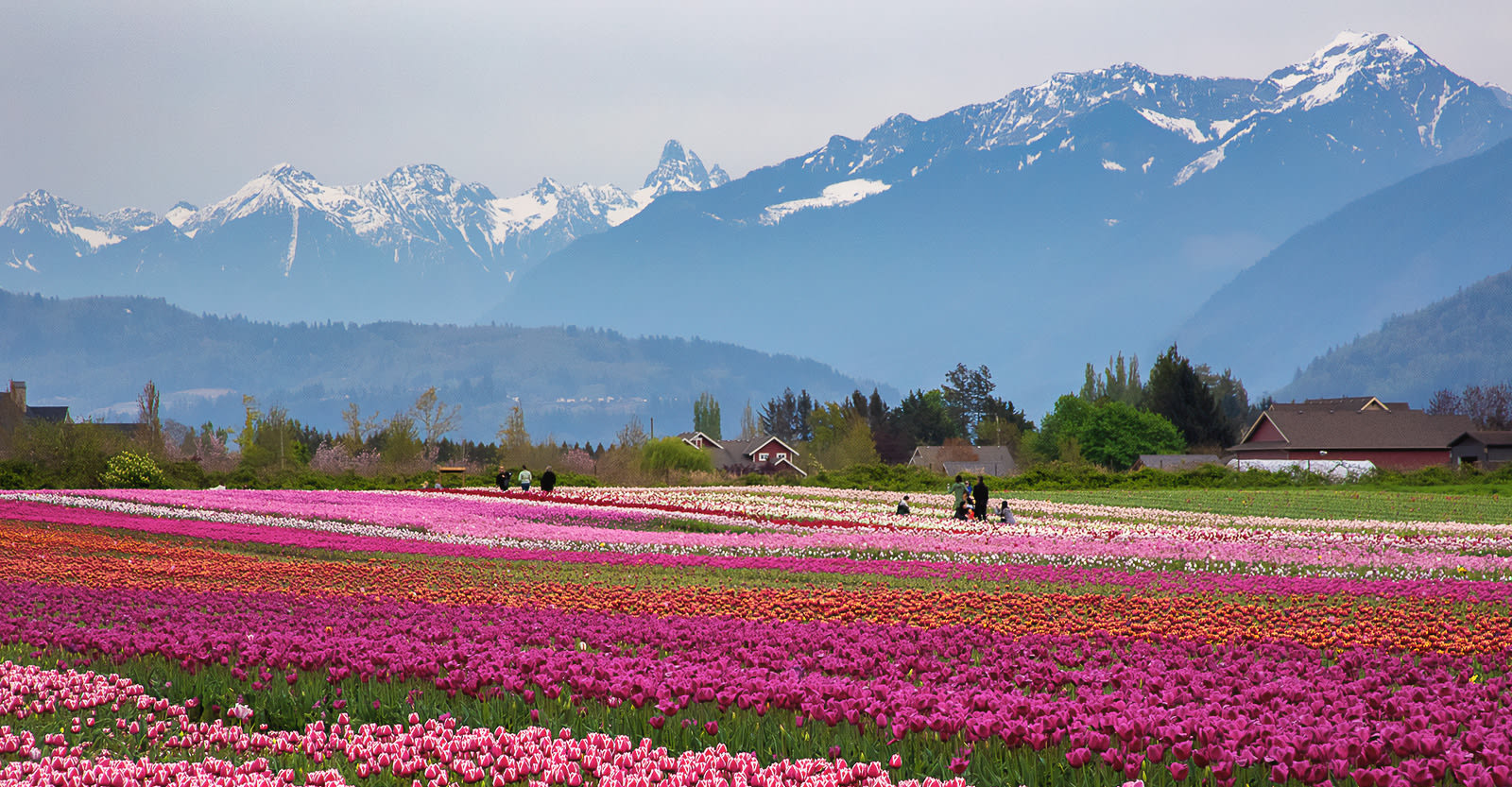  Top five spots to visit in Vancouver this spring